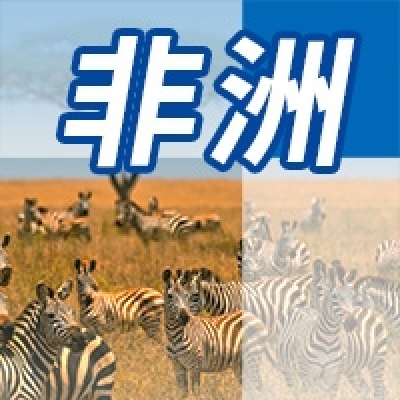 非洲地区